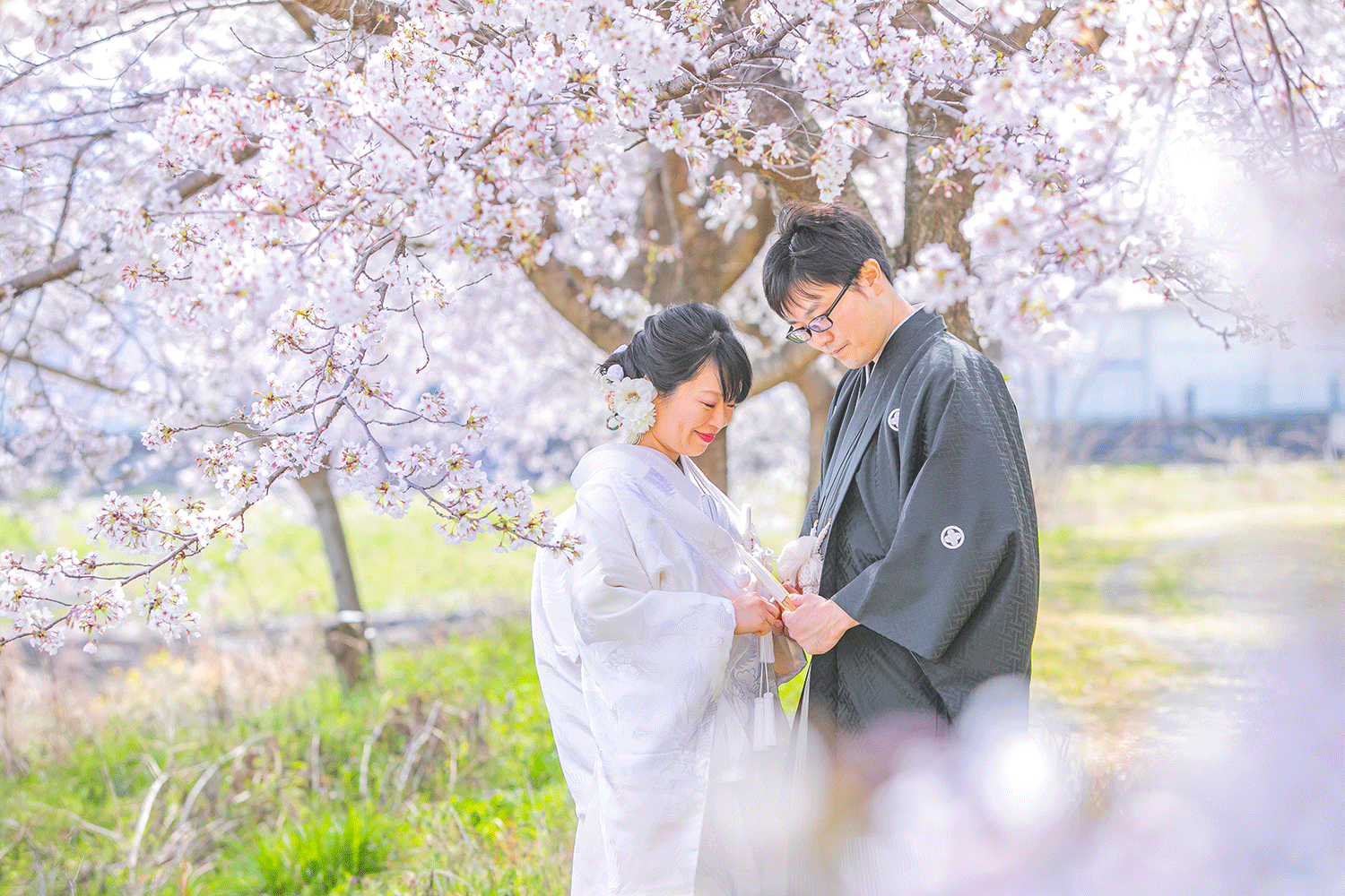 フォトウェディング　群馬　桜